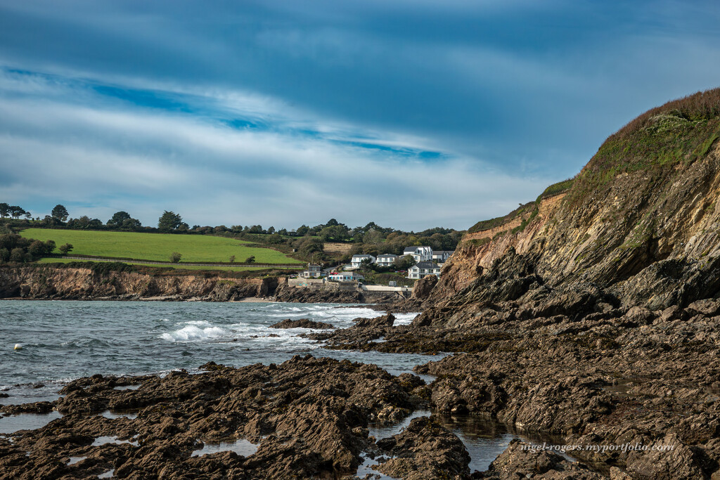 Swanpool by nigelrogers