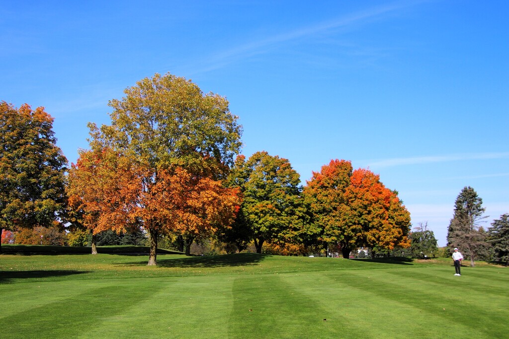 Fall Colors  by randy23