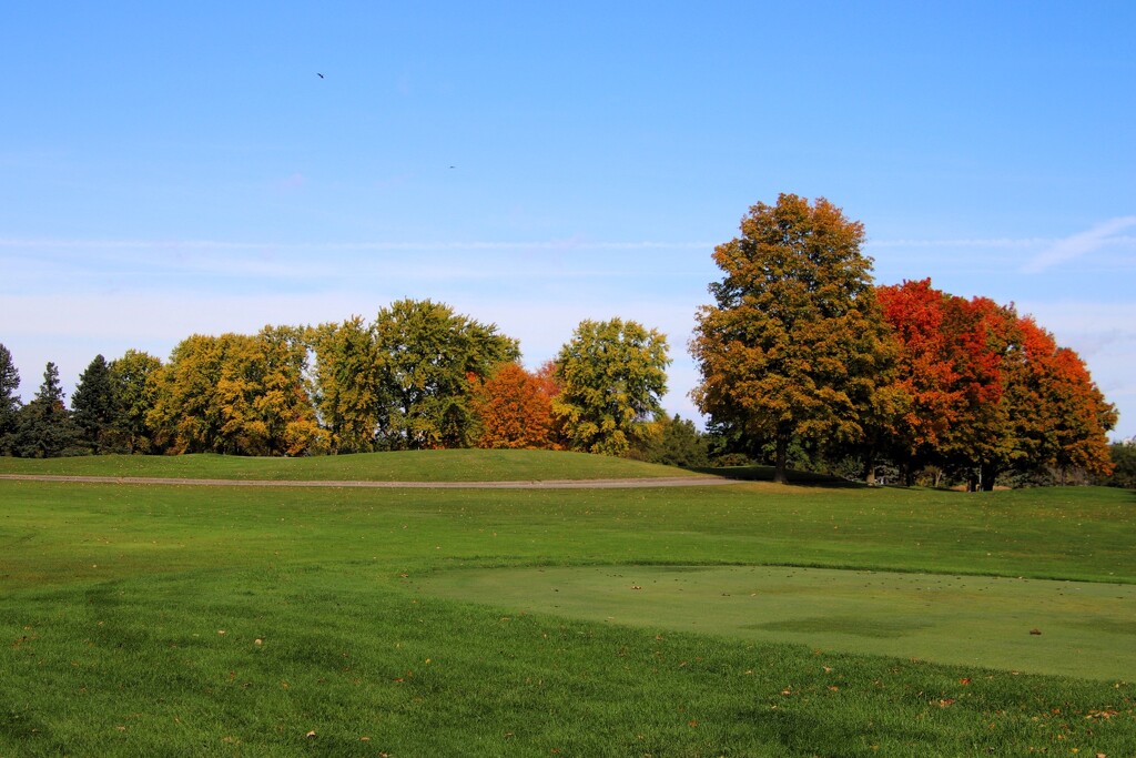 Fall Colors Starting To Show by randy23