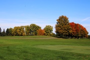 13th Oct 2024 - Fall Colors Starting To Show