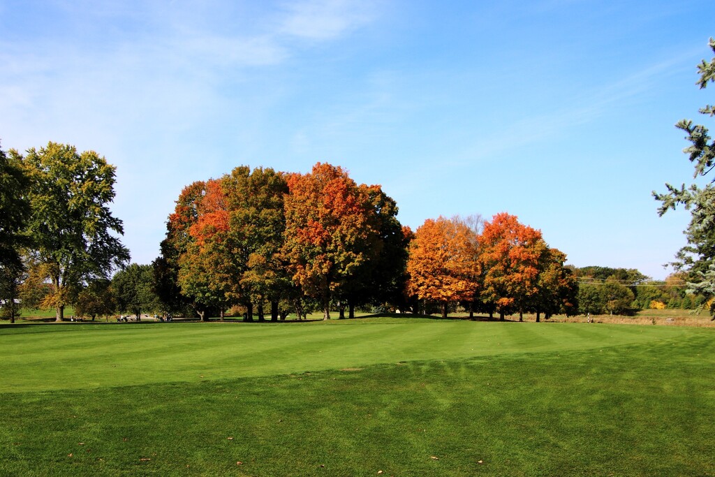 Fall Colors On The Golf Course by randy23