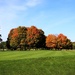 Fall Colors On The Golf Course