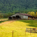 farm smaller-