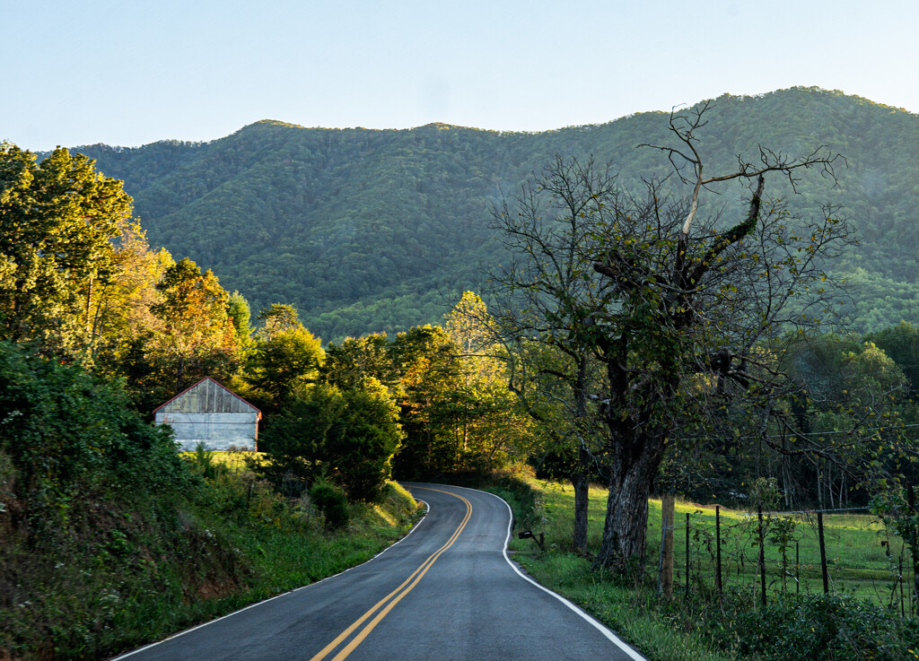 TN shaddy tree road smaller- by myhrhelper