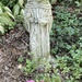 St. Francis keeping watch over the azalea