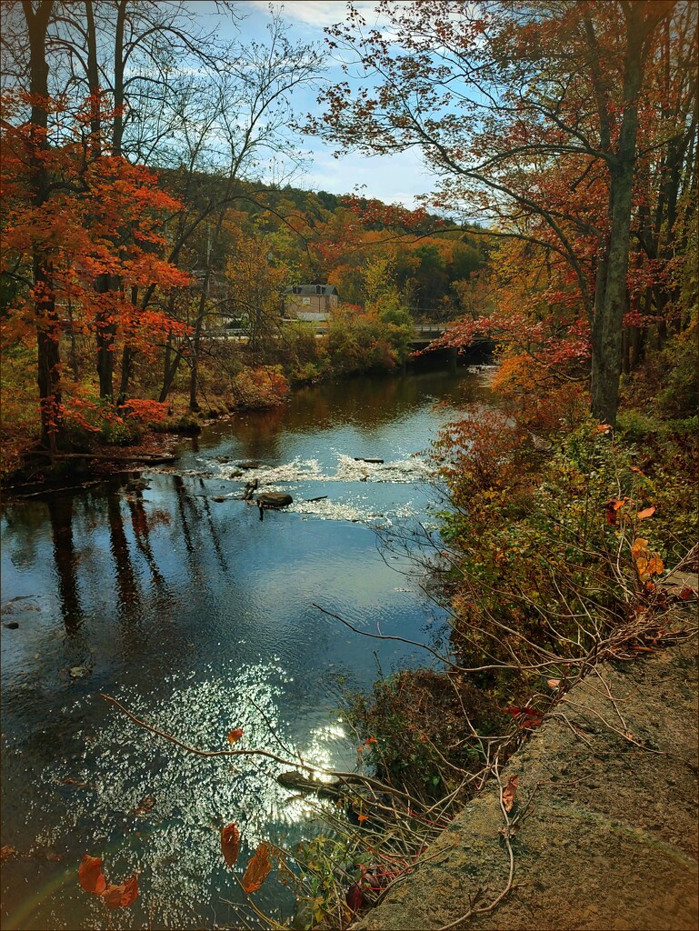 A River Runs Beside It by olivetreeann