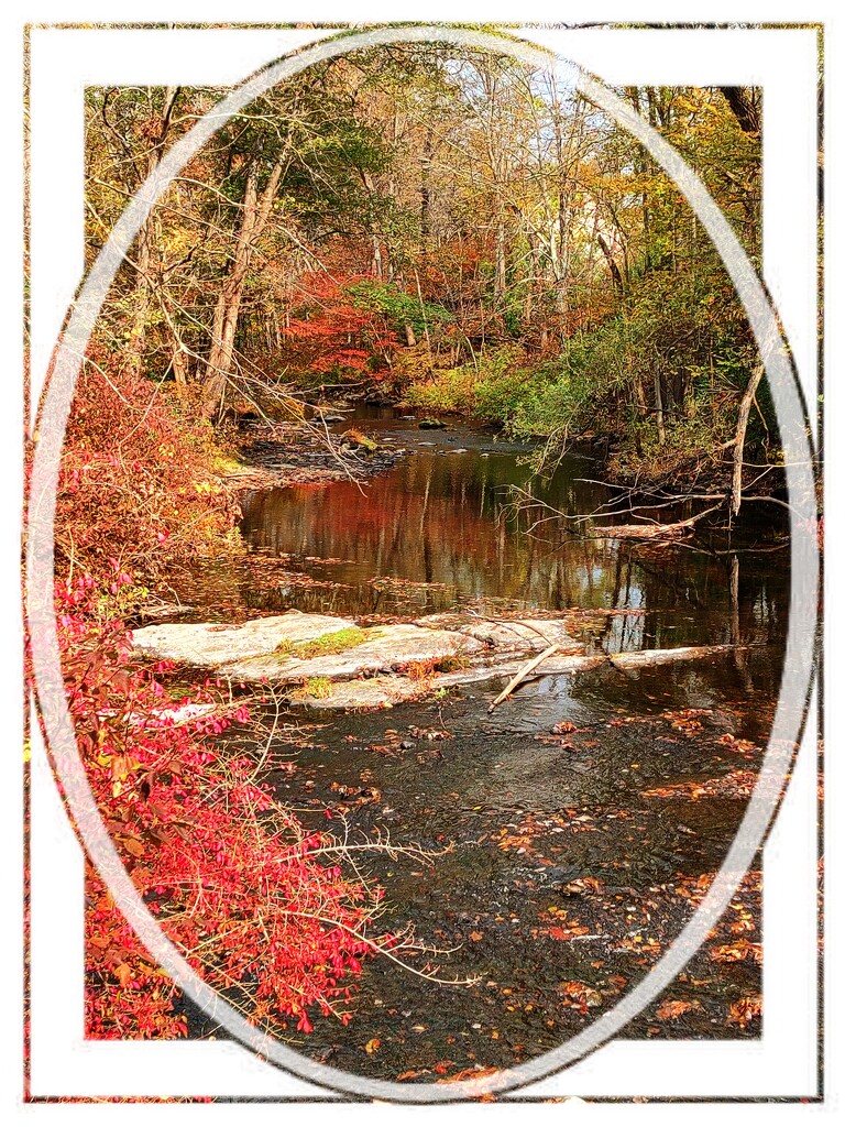 An Oval of Fall Colors by olivetreeann