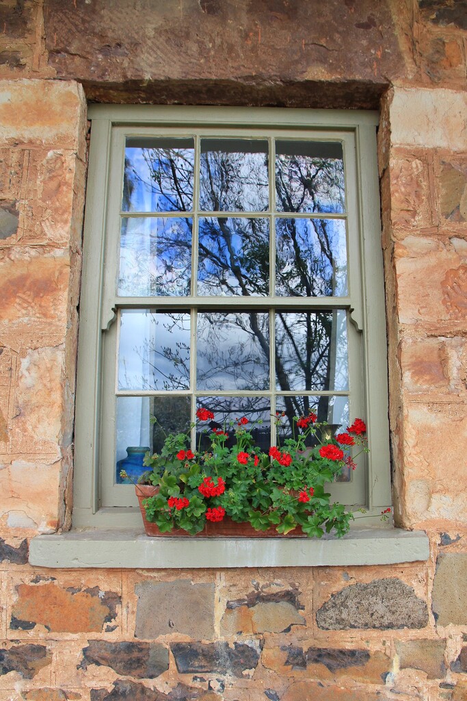 Old vintage window by leggzy