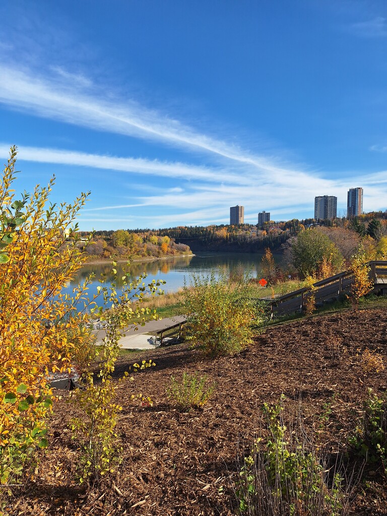 Autumn Colours  by bkbinthecity