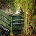 Green garden gate by helstor365