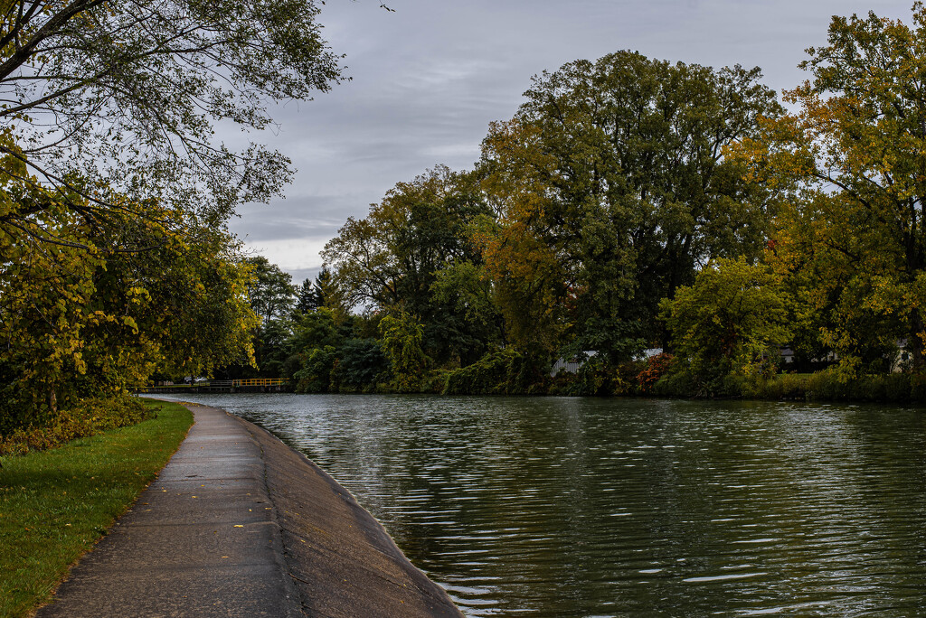 Bike Path-2 copy by darchibald