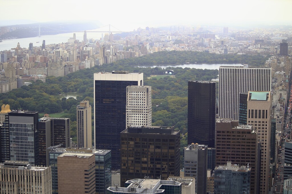 view of Central Park by blueberry1222