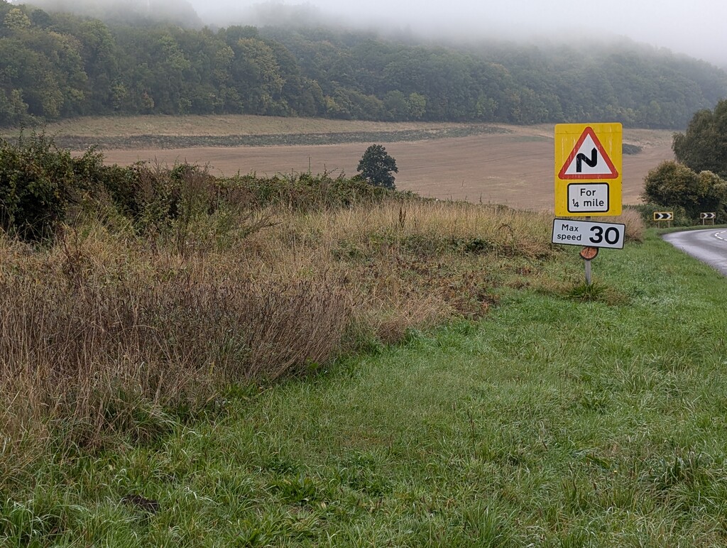 AUTUMN MIST. by derekskinner