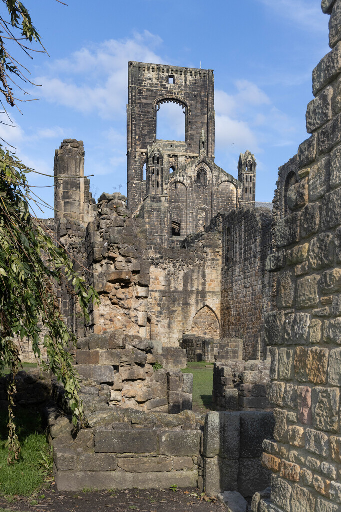 Kirkstall Abbey, Leeds by lumpiniman