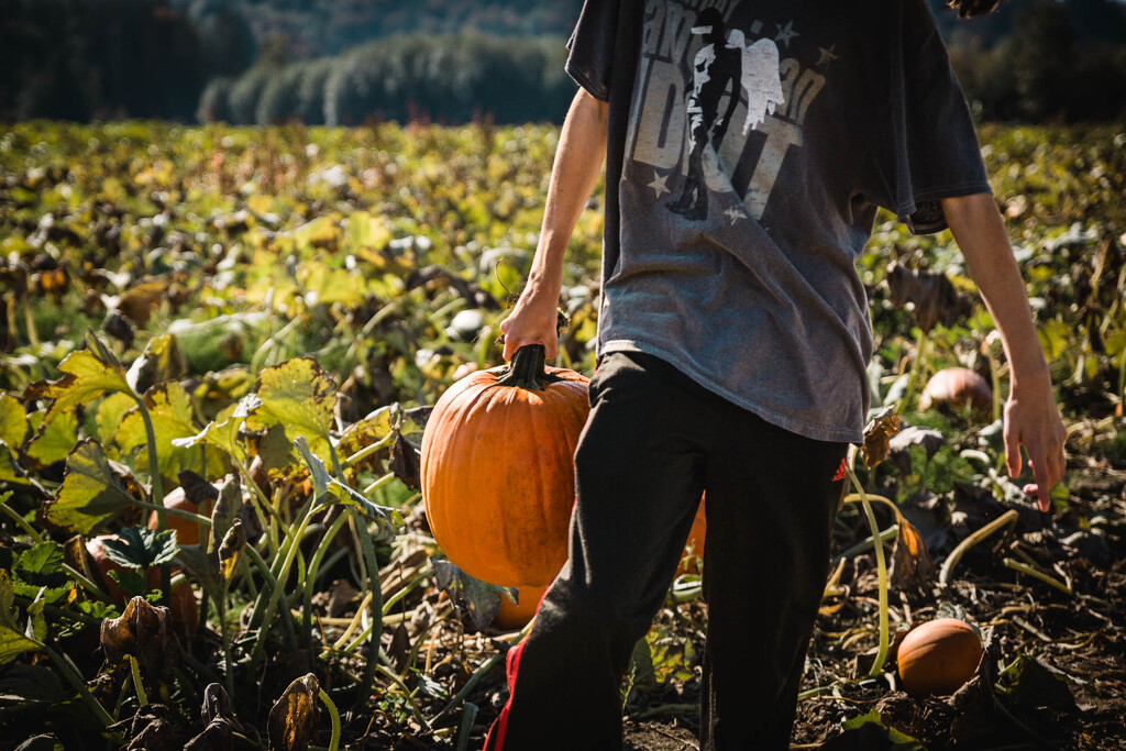 Pumpkin Patch Day by tina_mac