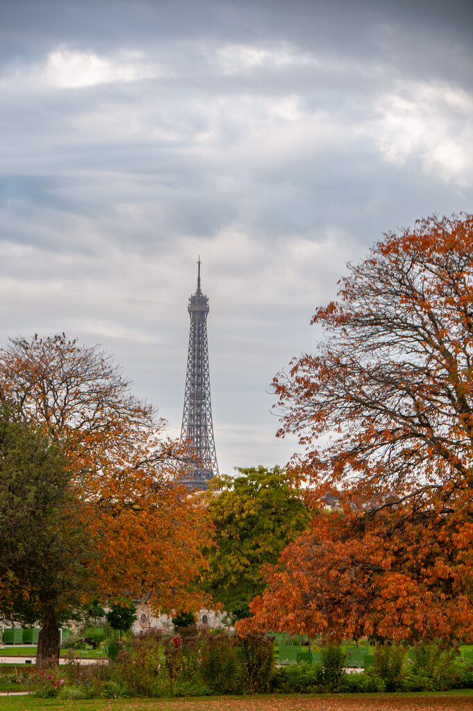 Paris in Fall by kwind