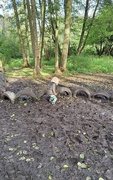 16th Oct 2023 - Mud!