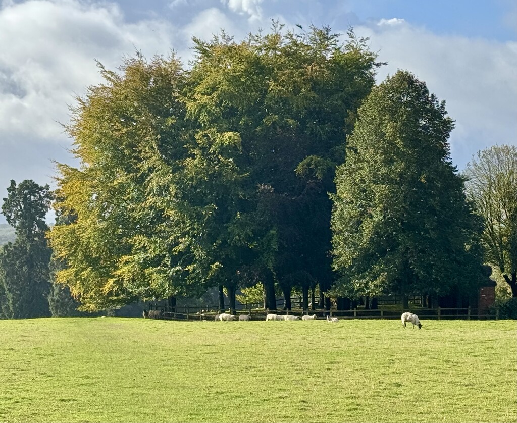 Kent Countryside  by jeremyccc