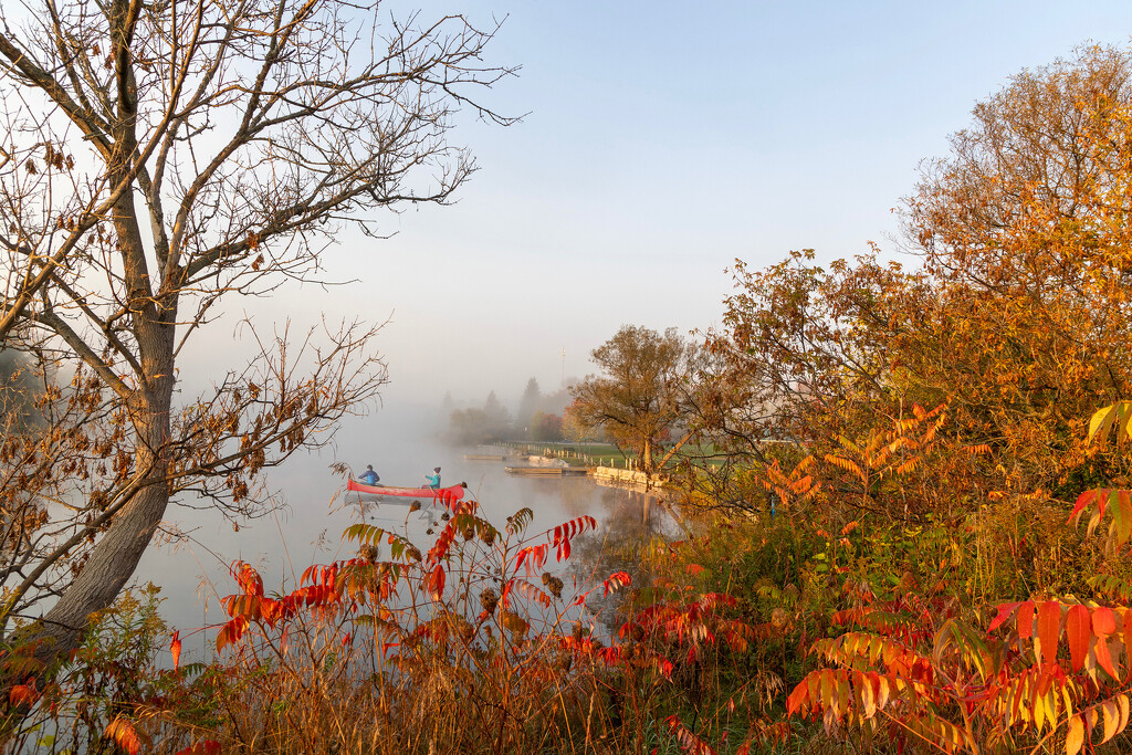 Fall Colors by pdulis