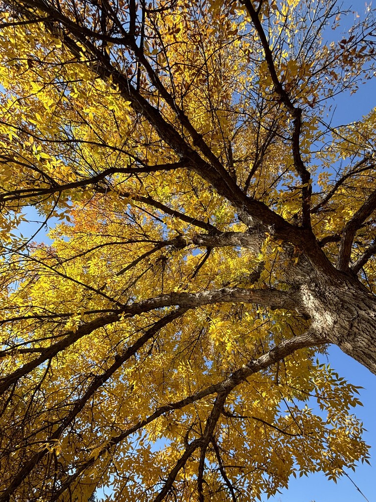 A beautiful fall day by pirish