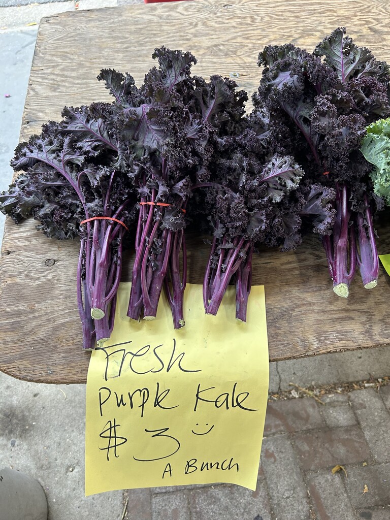 Purple Kale by loweygrace