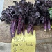 Purple Kale