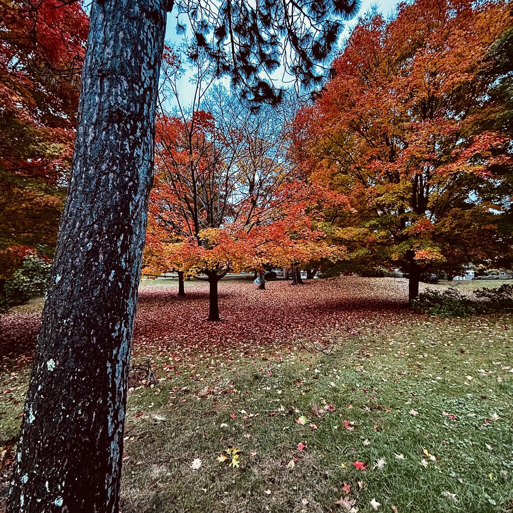 Autumn Departure by rickaubin