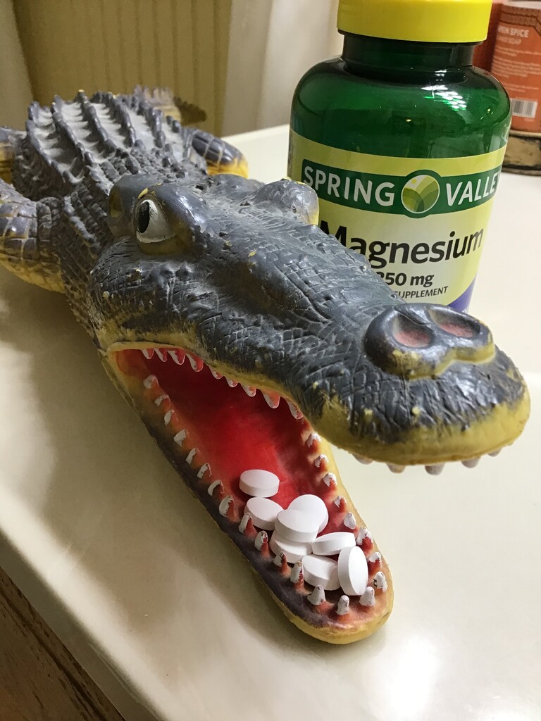 Croctober 9 - Vitamins  by juliedduncan