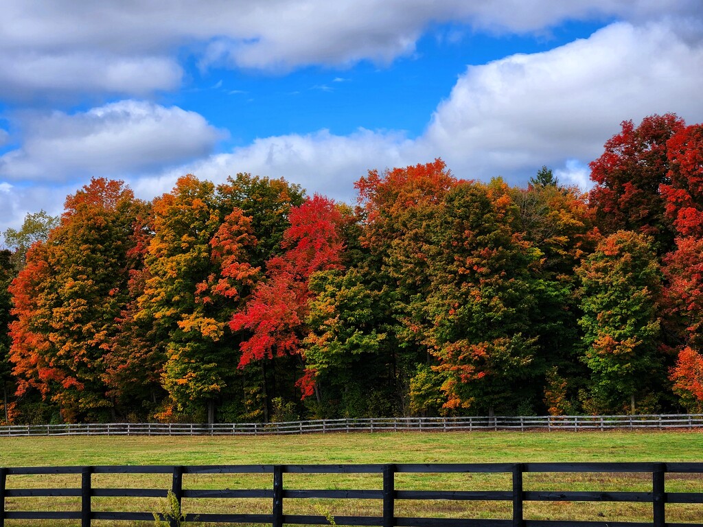 Autumn in the country by ljmanning