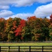 Autumn in the country