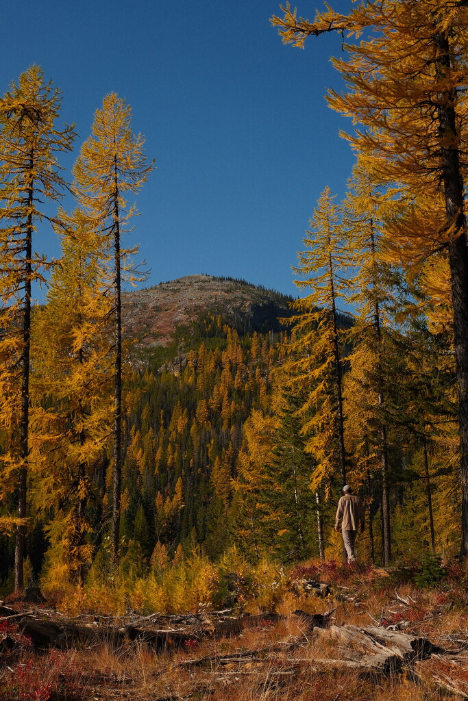 October on Sherman pass by josharp186