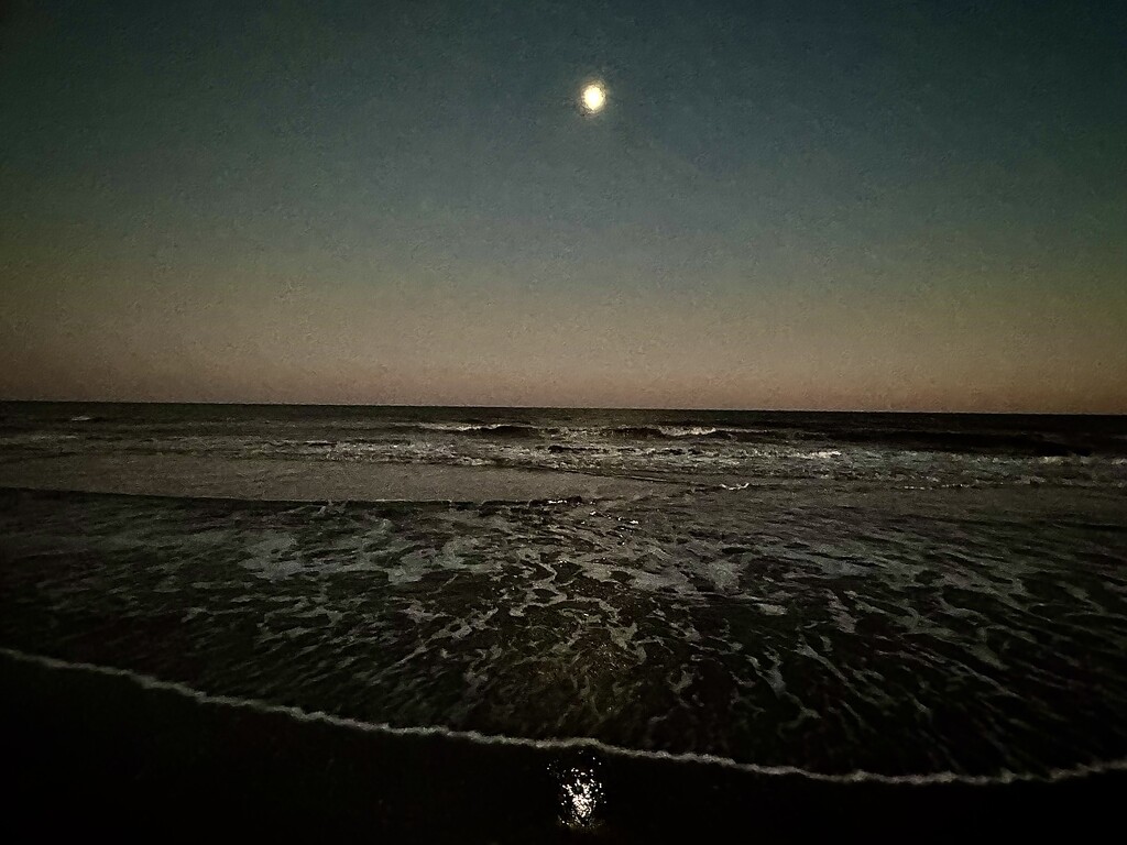 Moonrise at the beach Sunday by congaree