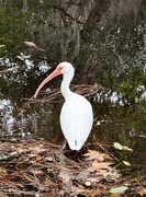 12th Oct 2024 - Great fishing gear 