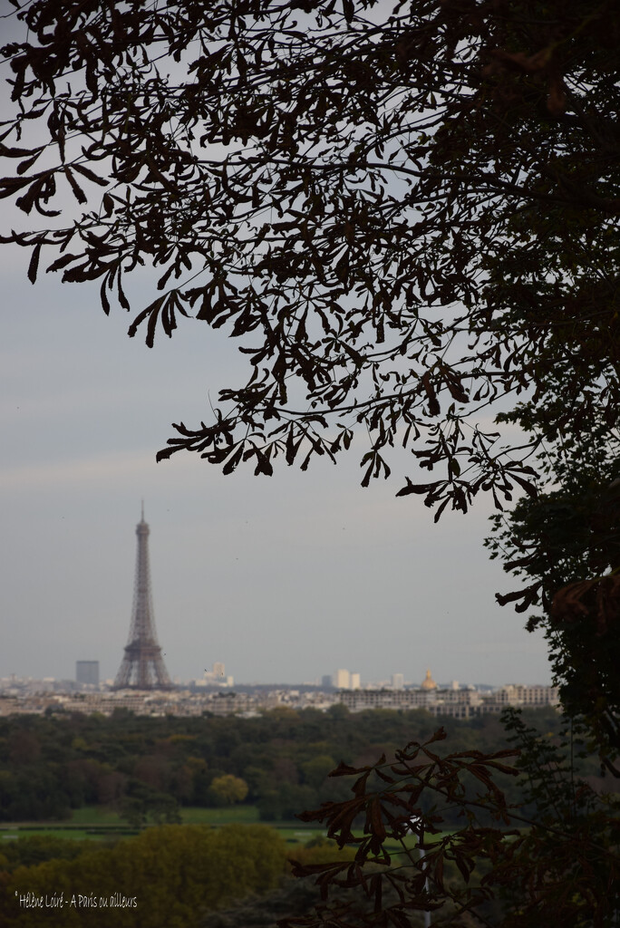 Paris from St Cloud by parisouailleurs