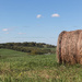 A bale of hay