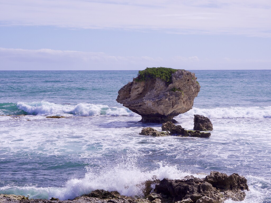 Mushroom Rock PA153959 by merrelyn