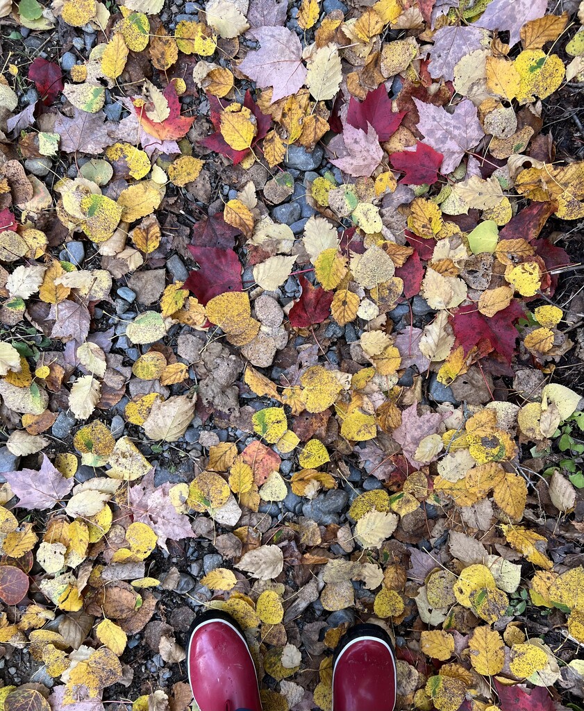 Looking Down by radiogirl