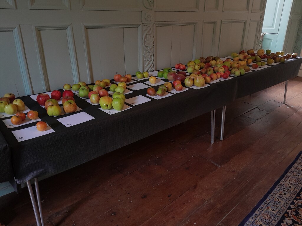 Apple display by anniesue