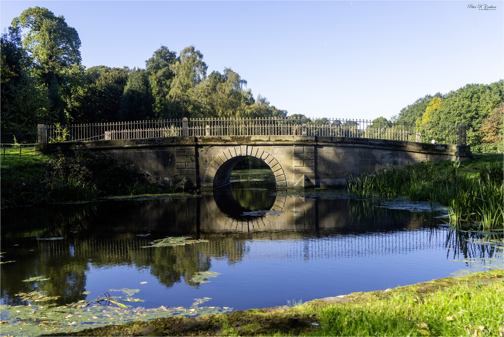 Bridge Reflections by pcoulson