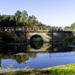 Bridge Reflections