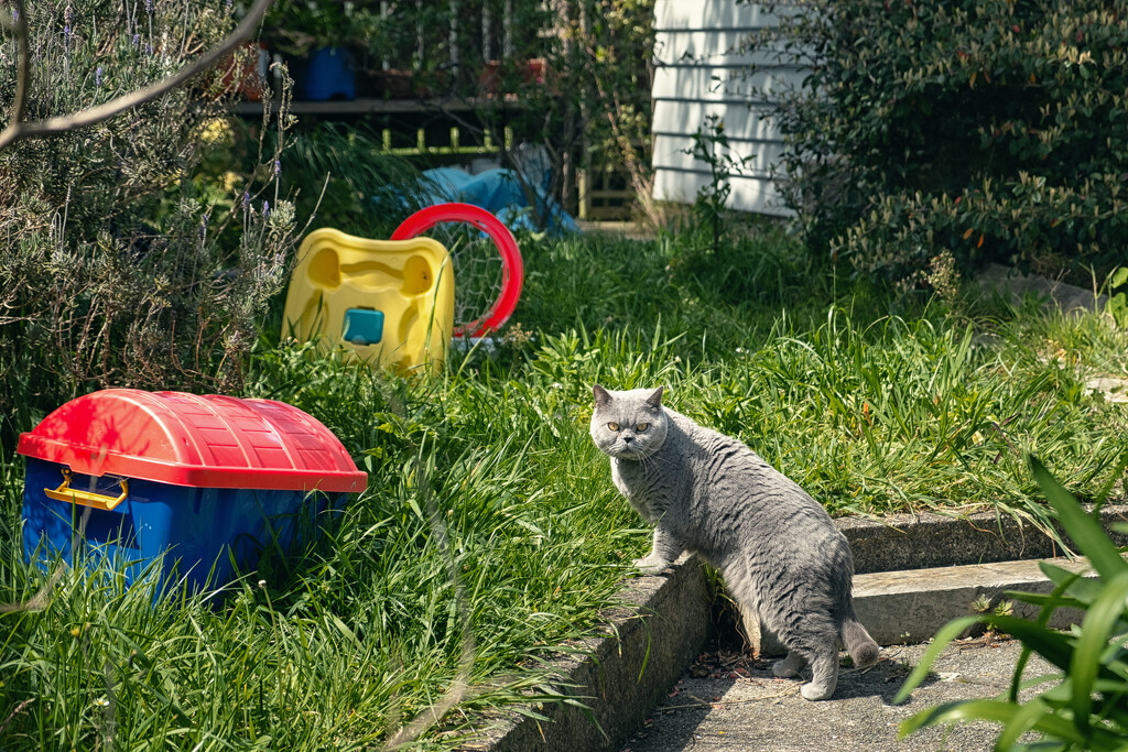 Treasure Hunter by helenw2