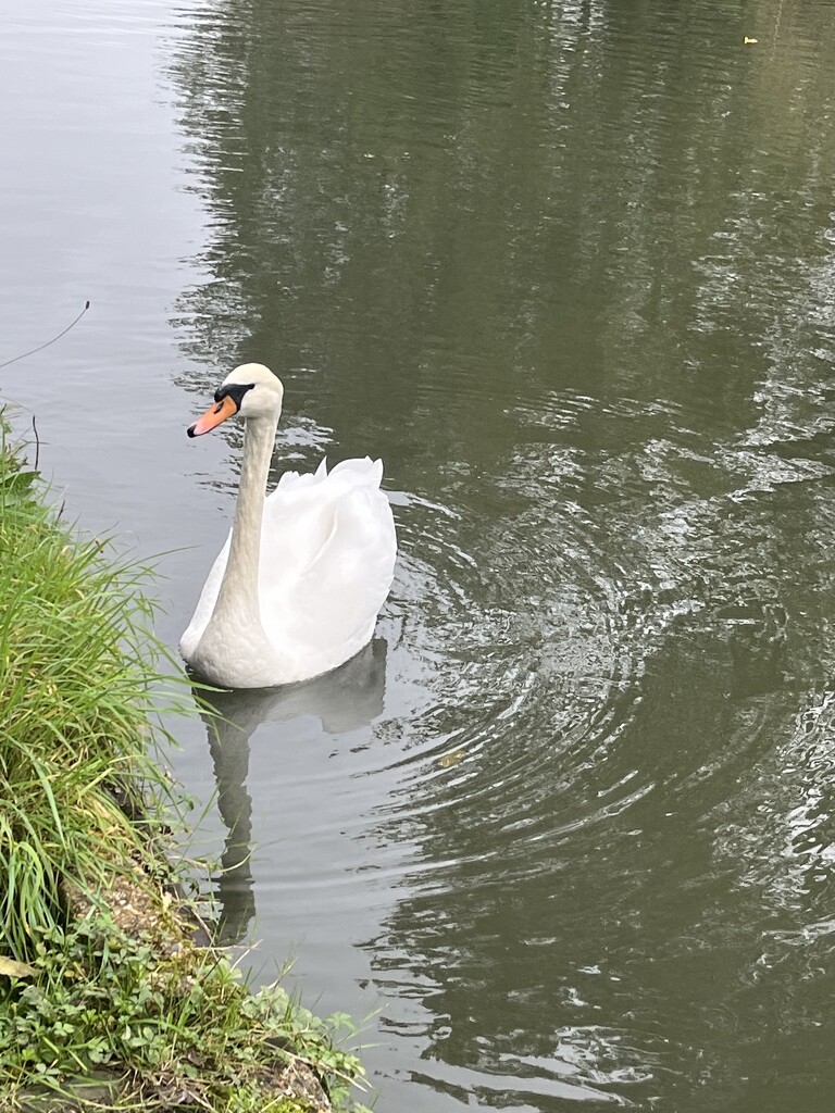 Lee Navigation Walk by elainepenney