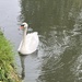 Lee Navigation Walk