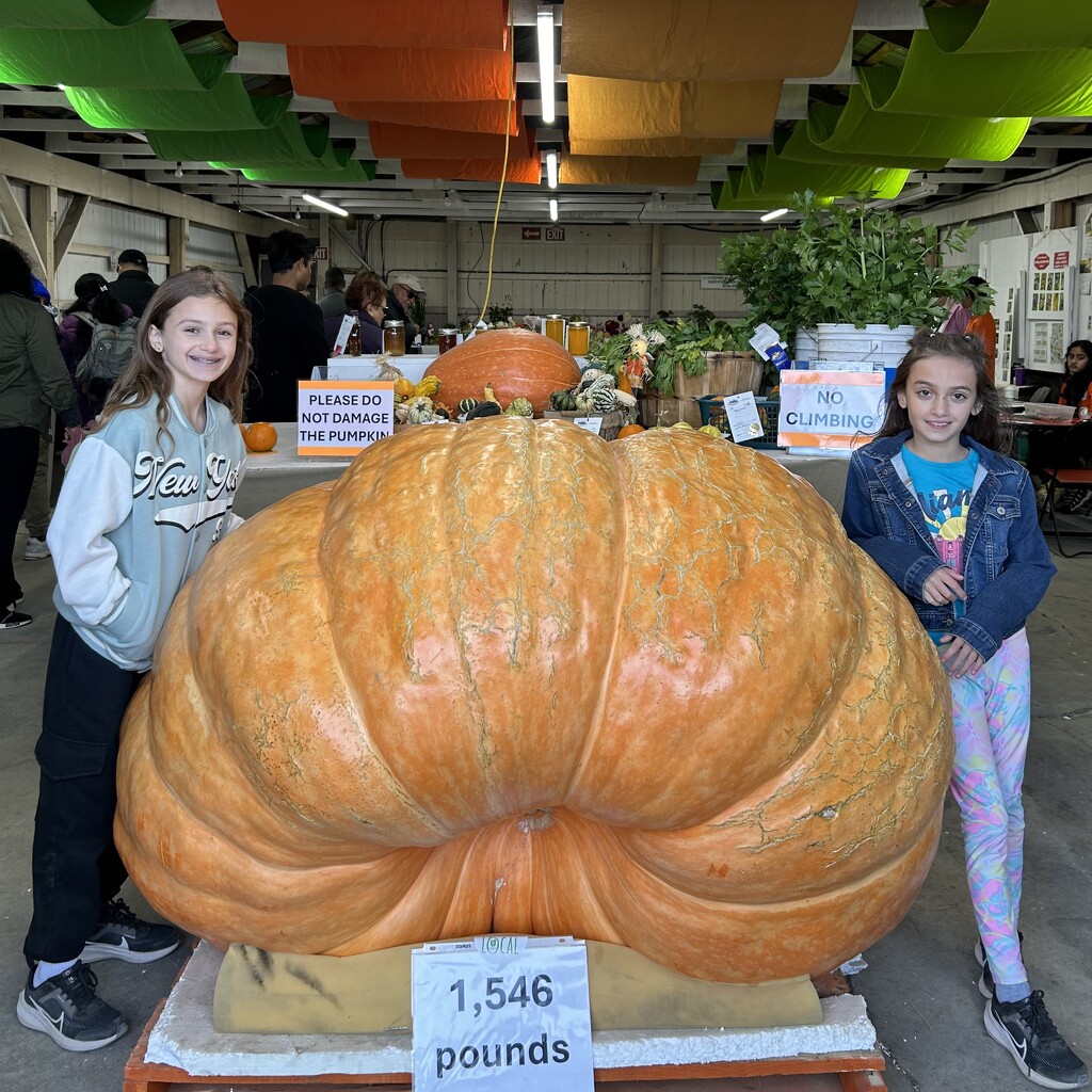 Woodbridge Fall Fair by robfalbo