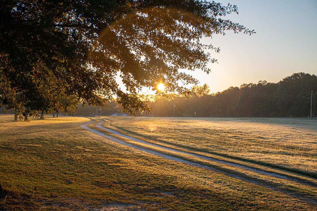 Morning Sunshine... by thewatersphotos