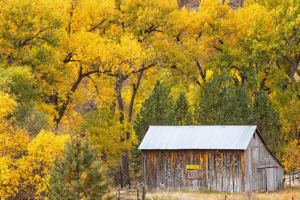 autumn colors by aecasey