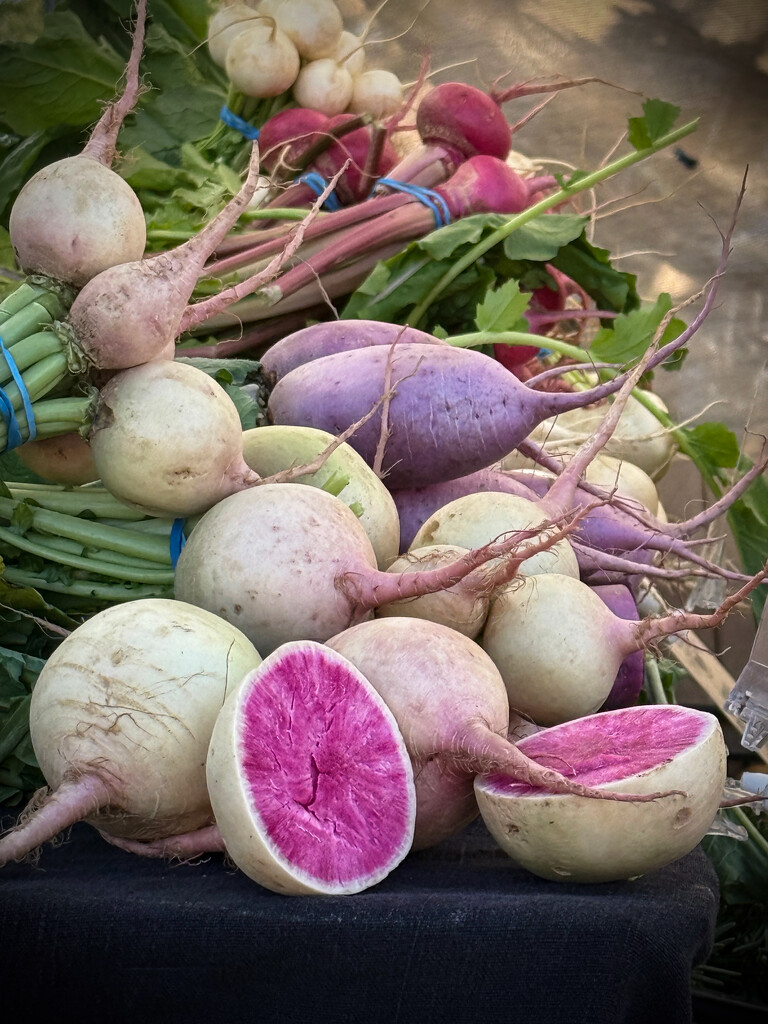 Watermelon Radishes by shutterbug49