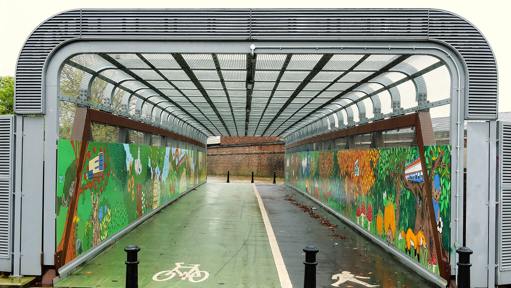 Stockport - foot/cycle bridge by neil_ge