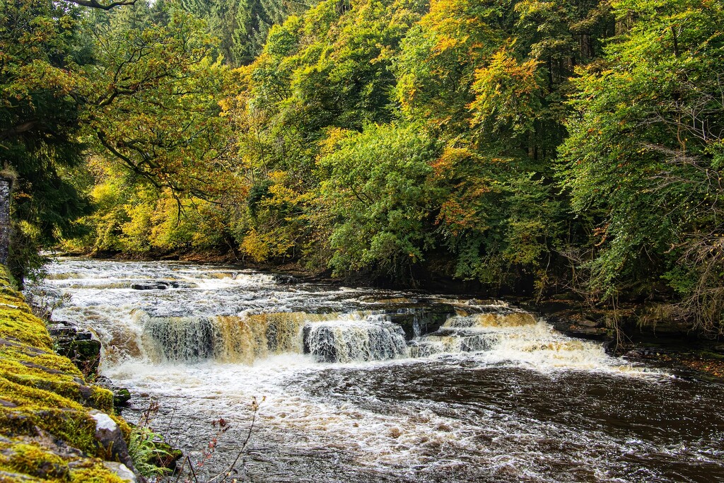 Dundaff Linn…, by billdavidson