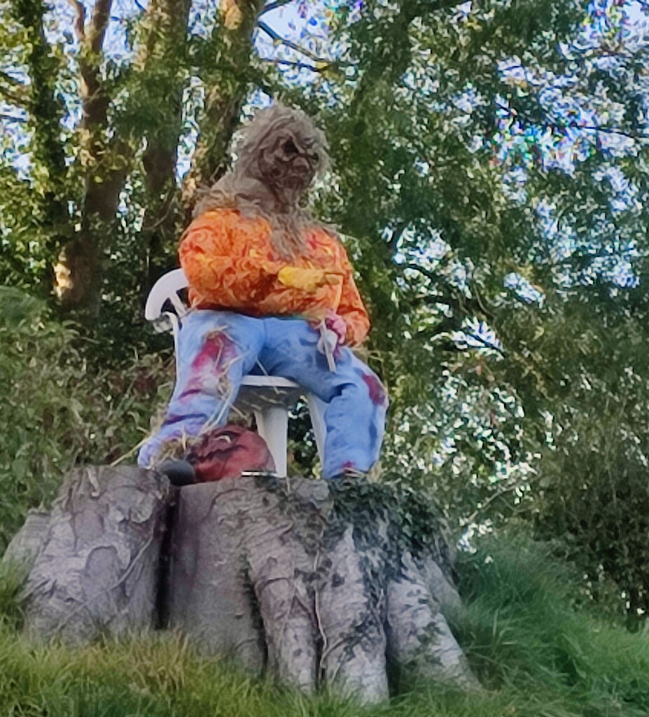 Scarecrow Festival  by countrylassie